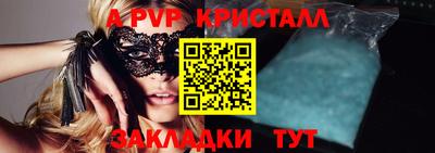 крисы Гагарин