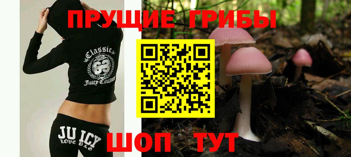 Галлюциногенные грибы ЛСД Дедовск